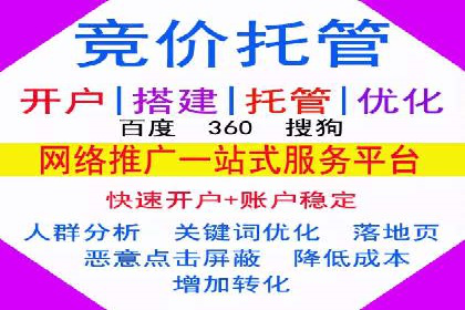 某电商平台的SEM策略与效果展示